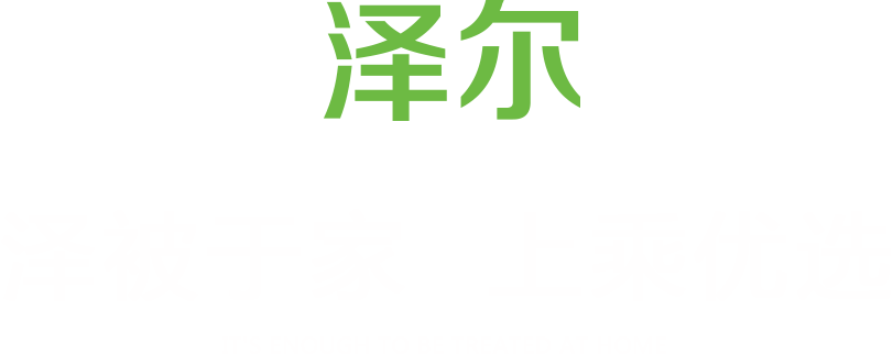 ̬