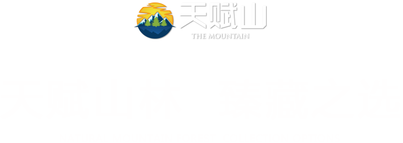 츳ɽ̬